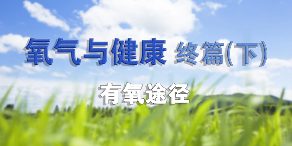 氧氣與身體的不解之緣（完結篇）