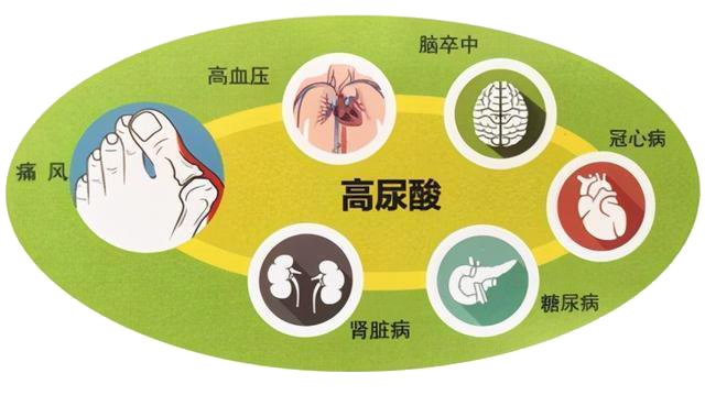 高尿酸血癥2
