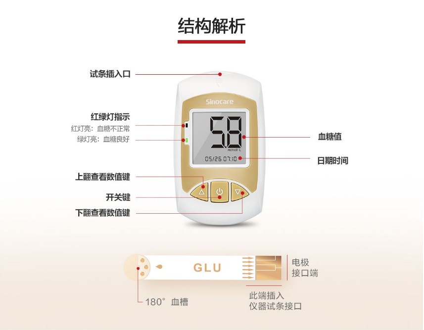 家用血糖儀結構解析